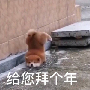 一级黄色操女人
