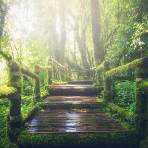 一级黄色操女人
